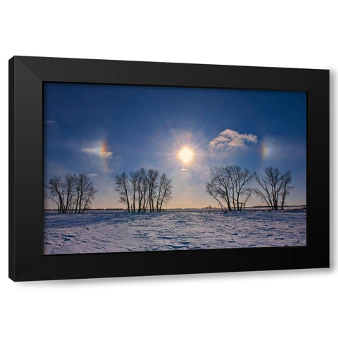 Canada-Manitoba-Grande Pointe Sundogs and cottonwood trees Black Modern Wood Framed Art Print with Double Matting by Jaynes Gallery