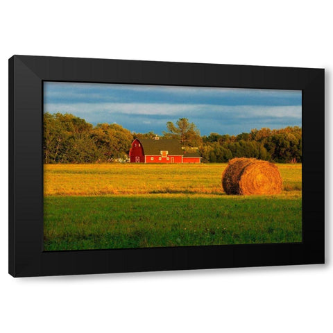 Canada-Manitoba-Matlock Red barn and bale at sunrise Black Modern Wood Framed Art Print by Jaynes Gallery