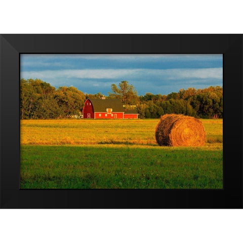 Canada-Manitoba-Matlock Red barn and bale at sunrise Black Modern Wood Framed Art Print by Jaynes Gallery