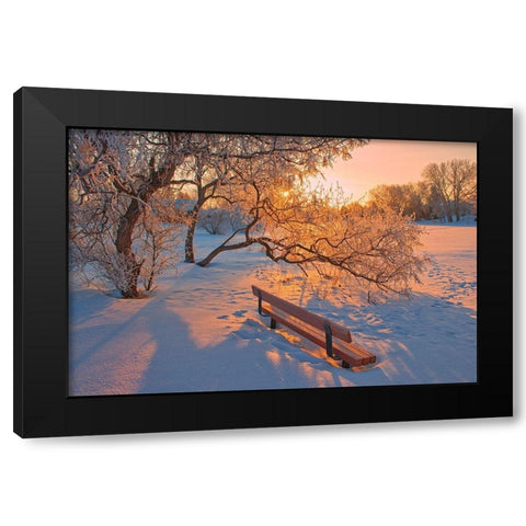 Canada-Manitoba-Winnipeg Hoarfrost at sunrise with bench Black Modern Wood Framed Art Print by Jaynes Gallery