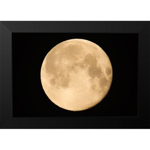Canada-Manitoba-Winnipeg Close-up of full moon Black Modern Wood Framed Art Print by Jaynes Gallery