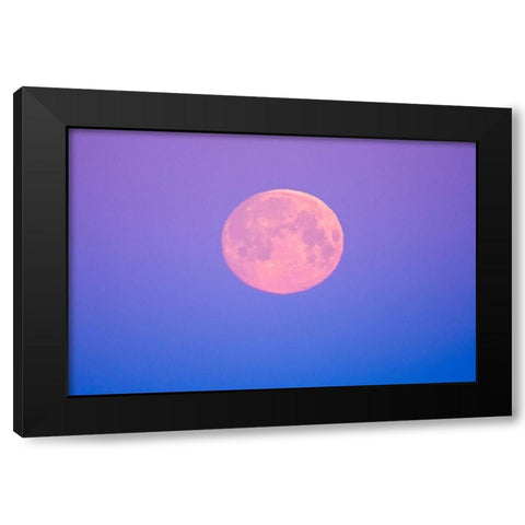 Canada-Manitoba-Dugald Full moon at dawn Black Modern Wood Framed Art Print by Jaynes Gallery