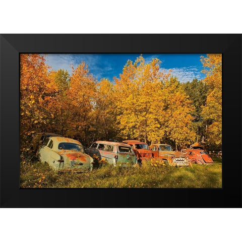 Canada-Manitoba-St Lupicin Vintage old vehicles in wrecking yard Black Modern Wood Framed Art Print by Jaynes Gallery