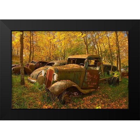 Canada-Manitoba-St Lupicin Vintage old vehicles in wrecking yard Black Modern Wood Framed Art Print by Jaynes Gallery