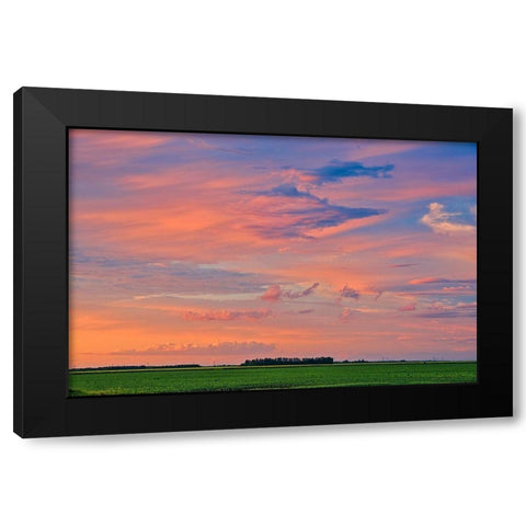 Canada-Manitoba-Dugald Clouds at sunset on prairie Black Modern Wood Framed Art Print by Jaynes Gallery