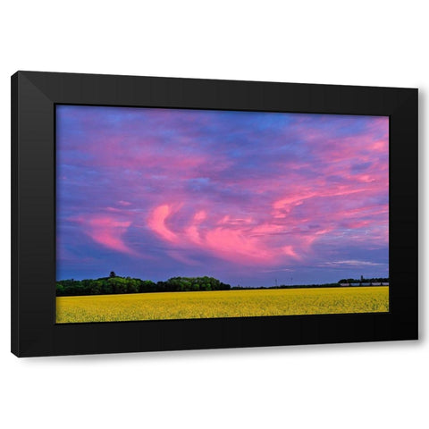 Canada-Manitoba-Dugald Clouds at sunset on prairie Black Modern Wood Framed Art Print with Double Matting by Jaynes Gallery