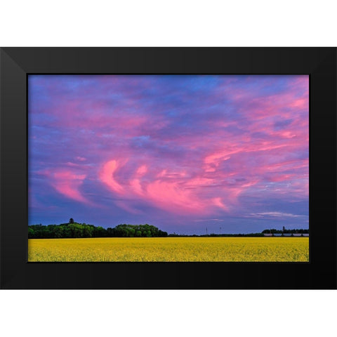 Canada-Manitoba-Dugald Clouds at sunset on prairie Black Modern Wood Framed Art Print by Jaynes Gallery