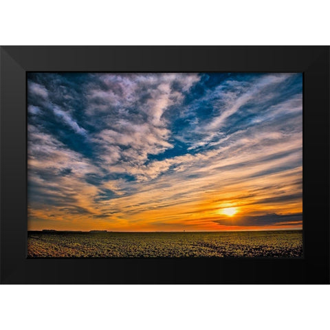 Canada-Manitoba-Dugald Clouds at sunset on prairie Black Modern Wood Framed Art Print by Jaynes Gallery