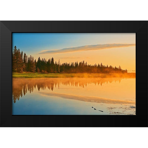 Canada-Manitoba-Riding Mountain National Park Fog rising above Whirlpool Lake at sunrise Black Modern Wood Framed Art Print by Jaynes Gallery