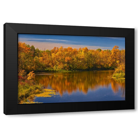 Canada- Manitoba. Autumn scene- Grindstone Point Road and Hwy 8. Black Modern Wood Framed Art Print by Jaynes Gallery