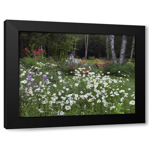 Canada, New Brunswick, garden and forest Black Modern Wood Framed Art Print with Double Matting by Anon, Ellen