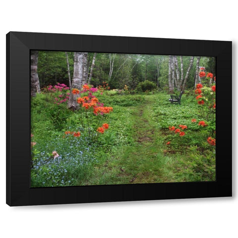 Canada, New Brunswick, garden and forest Black Modern Wood Framed Art Print by Anon, Ellen