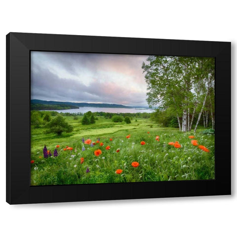 Canada, New Brunswick Landscape of meadow Black Modern Wood Framed Art Print with Double Matting by Anon, Ellen