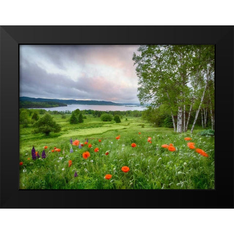 Canada, New Brunswick Landscape of meadow Black Modern Wood Framed Art Print by Anon, Ellen