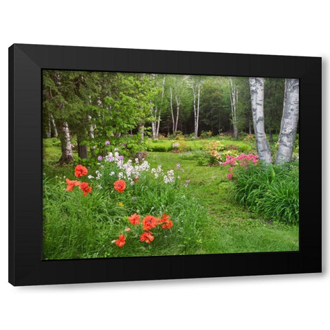 Canada, New Brunswick, garden and forest Black Modern Wood Framed Art Print by Anon, Ellen