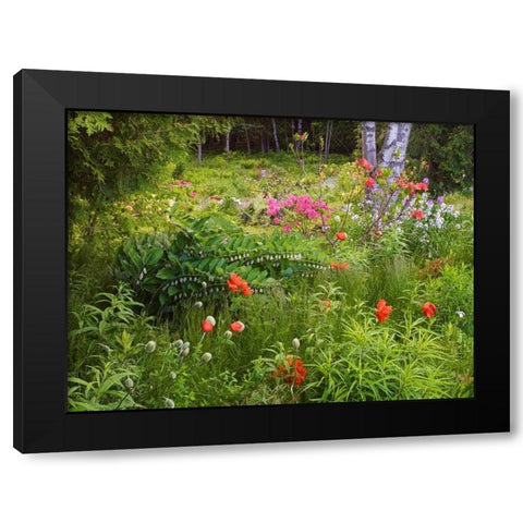 Canada, New Brunswick, garden and forest Black Modern Wood Framed Art Print by Anon, Ellen
