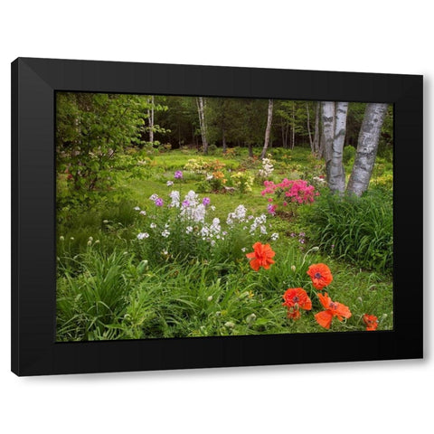 Canada, New Brunswick, garden and forest Black Modern Wood Framed Art Print with Double Matting by Anon, Ellen