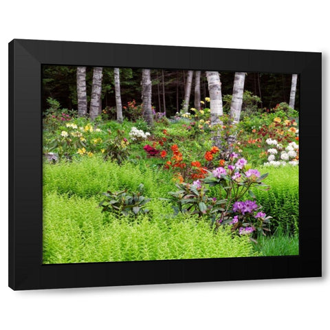 Canada, New Brunswick, garden and forest Black Modern Wood Framed Art Print with Double Matting by Anon, Ellen