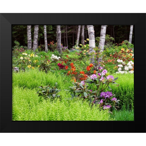 Canada, New Brunswick, garden and forest Black Modern Wood Framed Art Print by Anon, Ellen