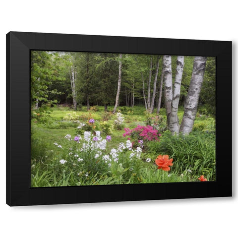 Canada, New Brunswick, Forest and garden Black Modern Wood Framed Art Print with Double Matting by Anon, Ellen