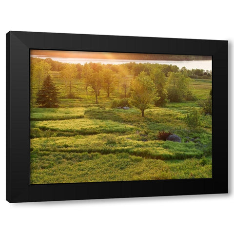 Canada, New Brunswick Sunset over St John River Black Modern Wood Framed Art Print by Anon, Ellen