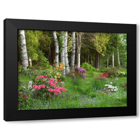 Canada, New Brunswick, Forest and garden Black Modern Wood Framed Art Print by Anon, Ellen
