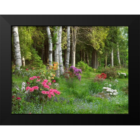 Canada, New Brunswick, Forest and garden Black Modern Wood Framed Art Print by Anon, Ellen
