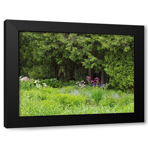 Canada, New Brunswick, Forest and garden Black Modern Wood Framed Art Print by Anon, Ellen