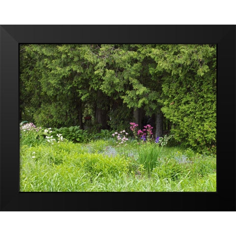 Canada, New Brunswick, Forest and garden Black Modern Wood Framed Art Print by Anon, Ellen