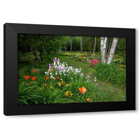 Canada, New Brunswick Garden scenic Black Modern Wood Framed Art Print by Anon, Ellen