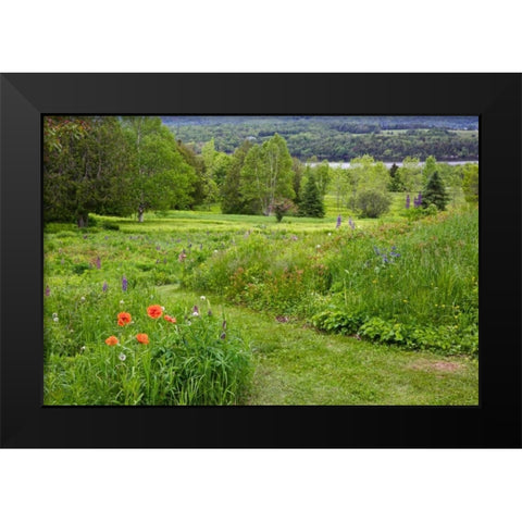 Canada, New Brunswick Landscape of meadow Black Modern Wood Framed Art Print by Anon, Ellen