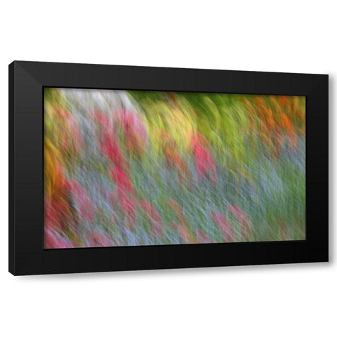 Canada Abstract blur of garden colors Black Modern Wood Framed Art Print with Double Matting by Anon, Ellen