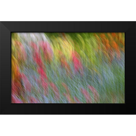 Canada Abstract blur of garden colors Black Modern Wood Framed Art Print by Anon, Ellen