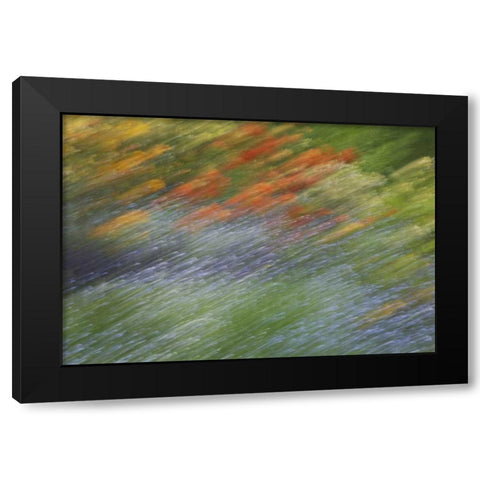 Canada Abstract blur of garden colors Black Modern Wood Framed Art Print by Anon, Ellen