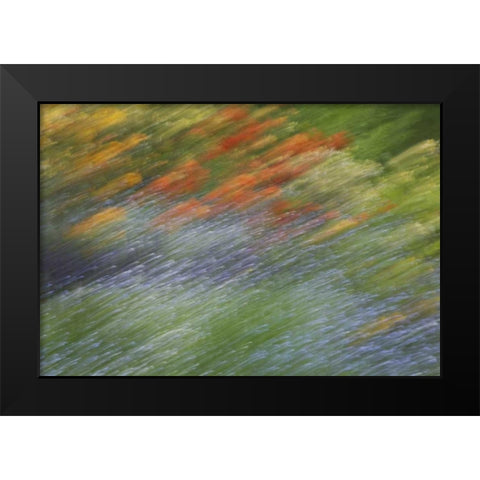 Canada Abstract blur of garden colors Black Modern Wood Framed Art Print by Anon, Ellen