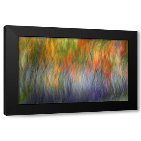 Canada Abstract blur of garden colors Black Modern Wood Framed Art Print with Double Matting by Anon, Ellen