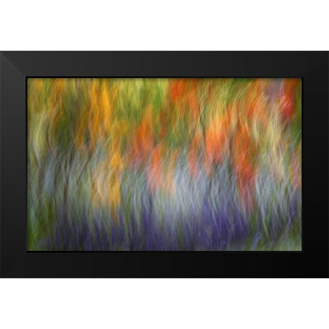 Canada Abstract blur of garden colors Black Modern Wood Framed Art Print by Anon, Ellen