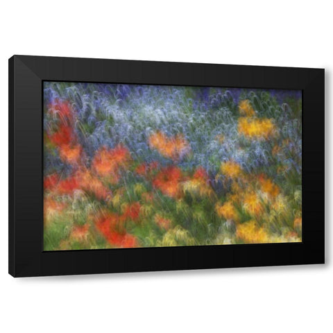 Canada Abstract blur of garden colors Black Modern Wood Framed Art Print with Double Matting by Anon, Ellen