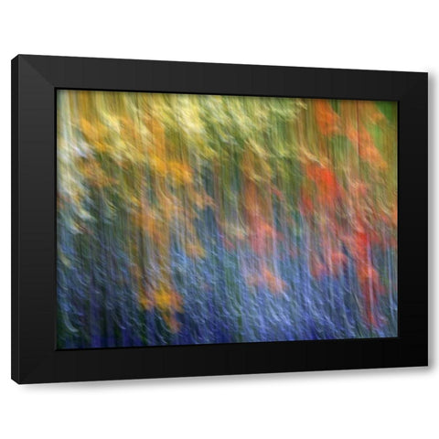 Canada Abstract blur of garden colors Black Modern Wood Framed Art Print with Double Matting by Anon, Ellen