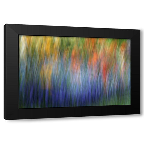 Canada Abstract blur of garden colors Black Modern Wood Framed Art Print with Double Matting by Anon, Ellen