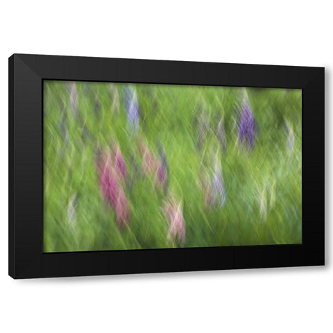 Canada Abstract blur of garden colors Black Modern Wood Framed Art Print by Anon, Ellen