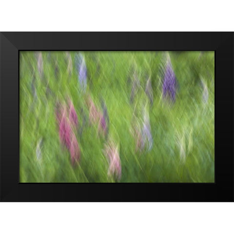 Canada Abstract blur of garden colors Black Modern Wood Framed Art Print by Anon, Ellen