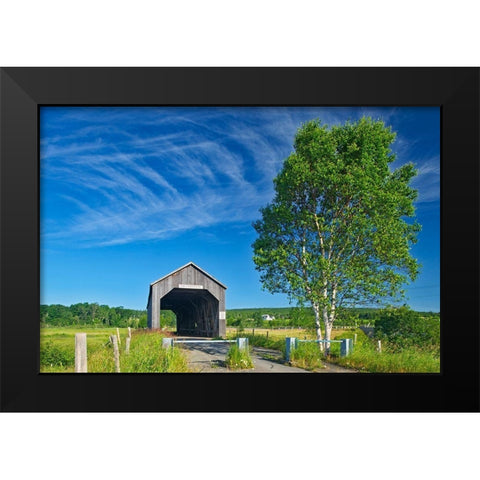 Canada-New Brunswick-Riverside-Albert Sawmill Creek covered bridge Black Modern Wood Framed Art Print by Jaynes Gallery