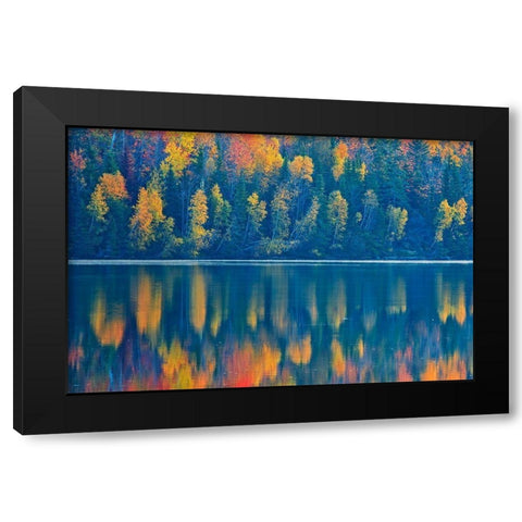 Canada-New Brunswick-Mactaquac Autumn forest reflections on St John River Black Modern Wood Framed Art Print by Jaynes Gallery