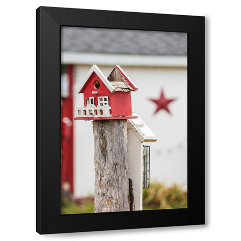 Canada-New Brunswick-Kennebecasis River Valley-Smiths Creek-birdhouses Black Modern Wood Framed Art Print by Bibikow, Walter