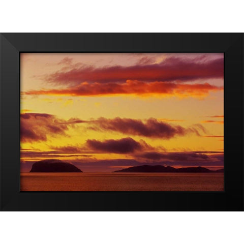 Canada, York Harbor Gulf of St Lawrence, sunset Black Modern Wood Framed Art Print by Grandmaison, Mike