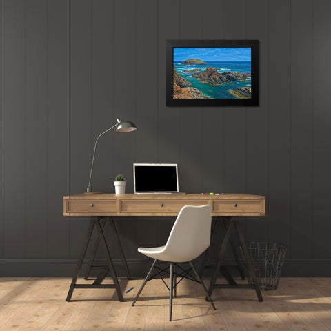 Canada-Newfoundland-Elliston Rocky shoreline on Atlantic Ocean Black Modern Wood Framed Art Print by Jaynes Gallery