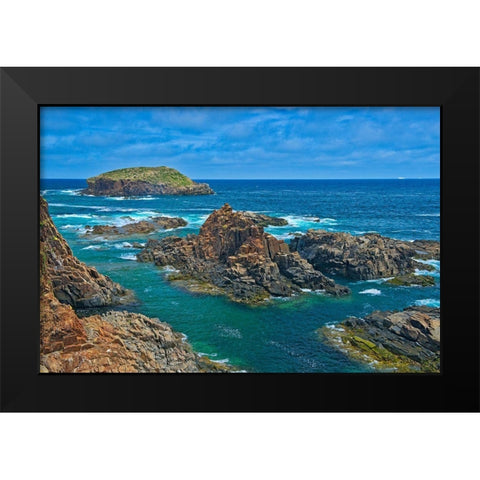 Canada-Newfoundland-Elliston Rocky shoreline on Atlantic Ocean Black Modern Wood Framed Art Print by Jaynes Gallery