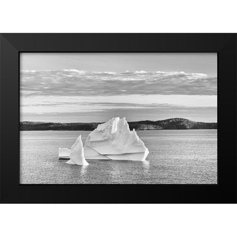 Canada-Newfoundland-Eastport Icebergs floating in Salvage Bay of Atlantic Ocean Black Modern Wood Framed Art Print by Jaynes Gallery