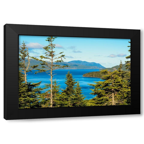 Gros Morne National Park-Wild Cove on Bonne Bay-Newfoundland-Canada Black Modern Wood Framed Art Print by DeFreitas, Michael